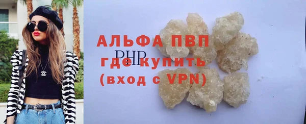 PSILOCYBIN Балахна