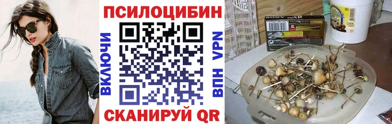 это как зайти  Невель  Галлюциногенные грибы Cubensis  гидра  